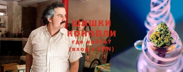 дурь Алзамай