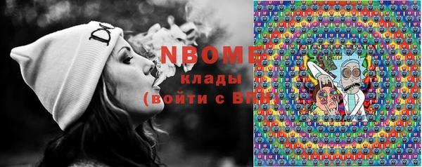 шишки Алексин