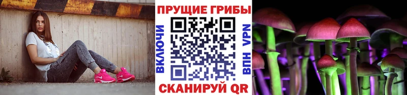 Псилоцибиновые грибы мицелий  Оса 